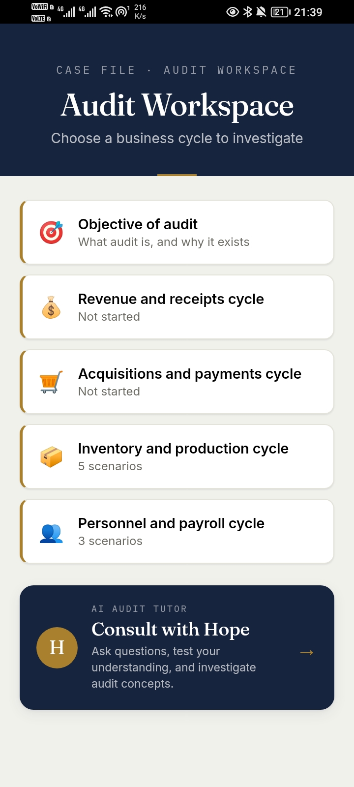 H.O.P.E Audit workspace app screenshot